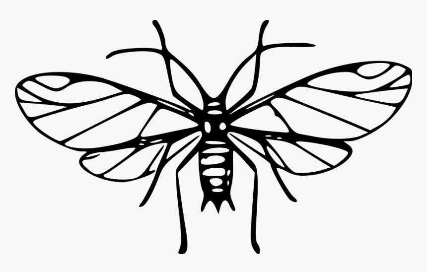 Cartoon Mosquito Clipart Wikiclipart - Clip Art Image Mosquito Black And White, HD Png Download