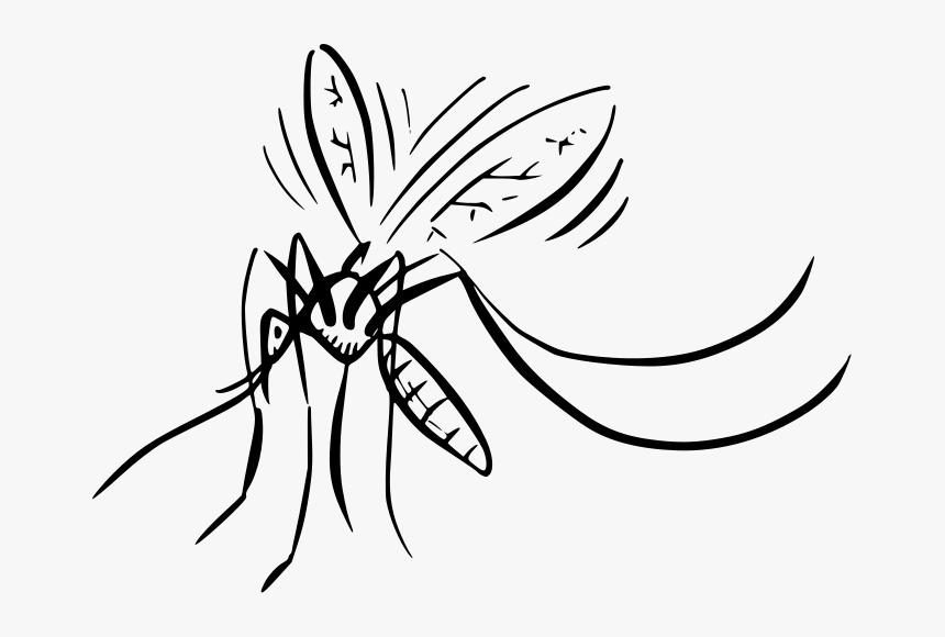 File - Mosquito - Svg - Mosquito Da Dengue Svg, HD Png Download