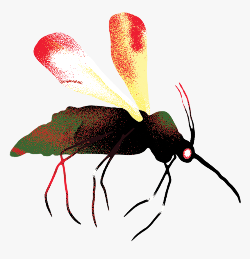 Bee, HD Png Download