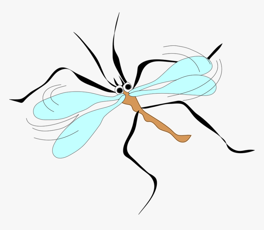 Free Vector Moschito Stecchito Clip Art - Mosquito Clip Art, HD Png Download