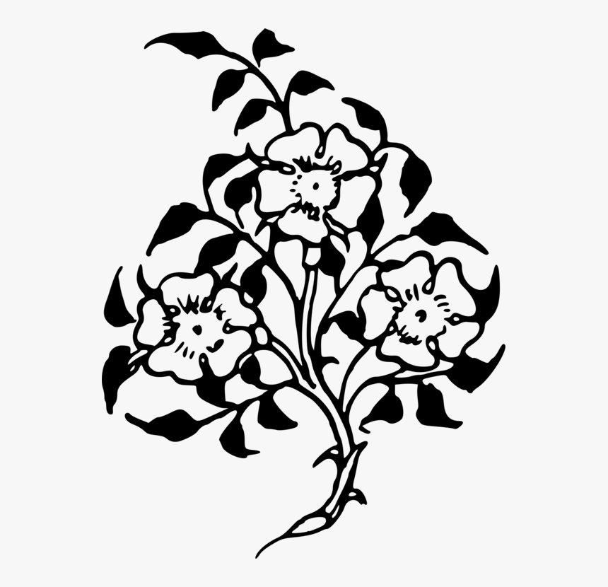 Petal Clipart Flower Silhouette - Common Peony, HD Png Download