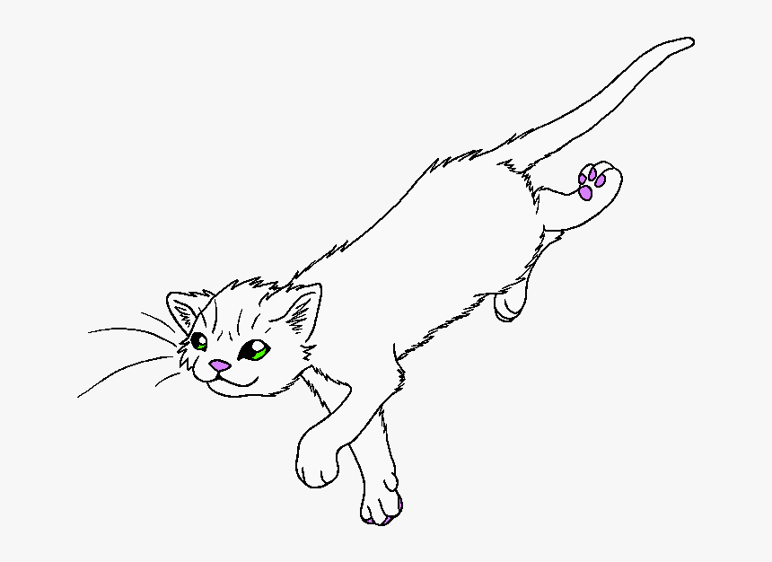 Spider Paw - Warrior Cats Spiderpaw, HD Png Download