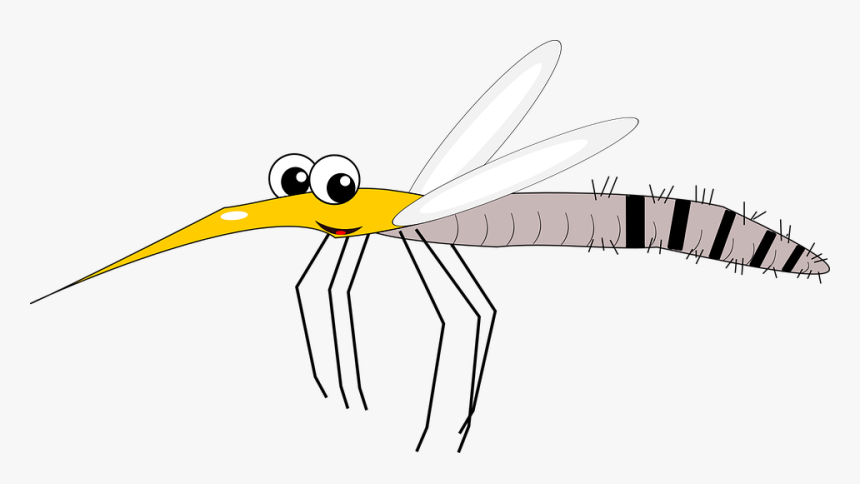 Mosquito, Virus, Blood, Bloodsucker, Zika, Malaria - Muggen Png, Transparent Png