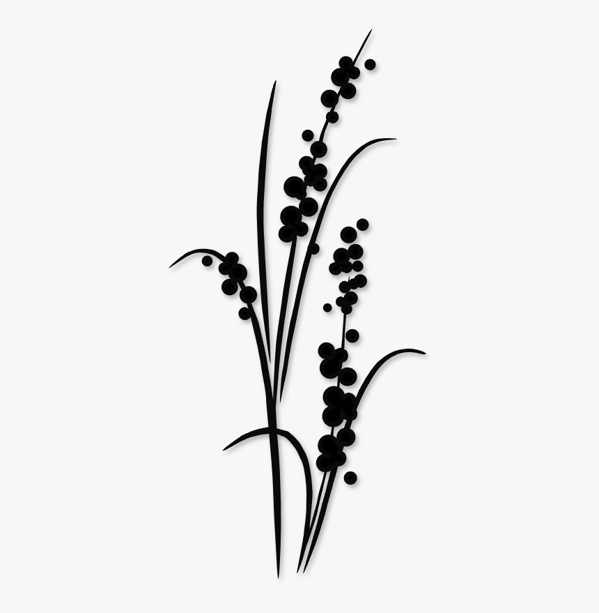 Tall Flowers Silhouette, HD Png Download