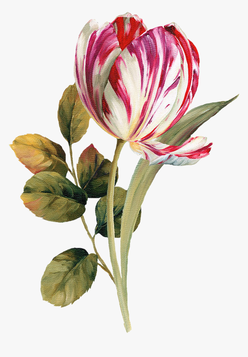 Pattern Flower, Flower Silhouette, Botanical Flowers, - Download Flower High Resolution, HD Png Download