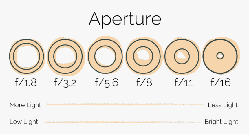 Circle, HD Png Download