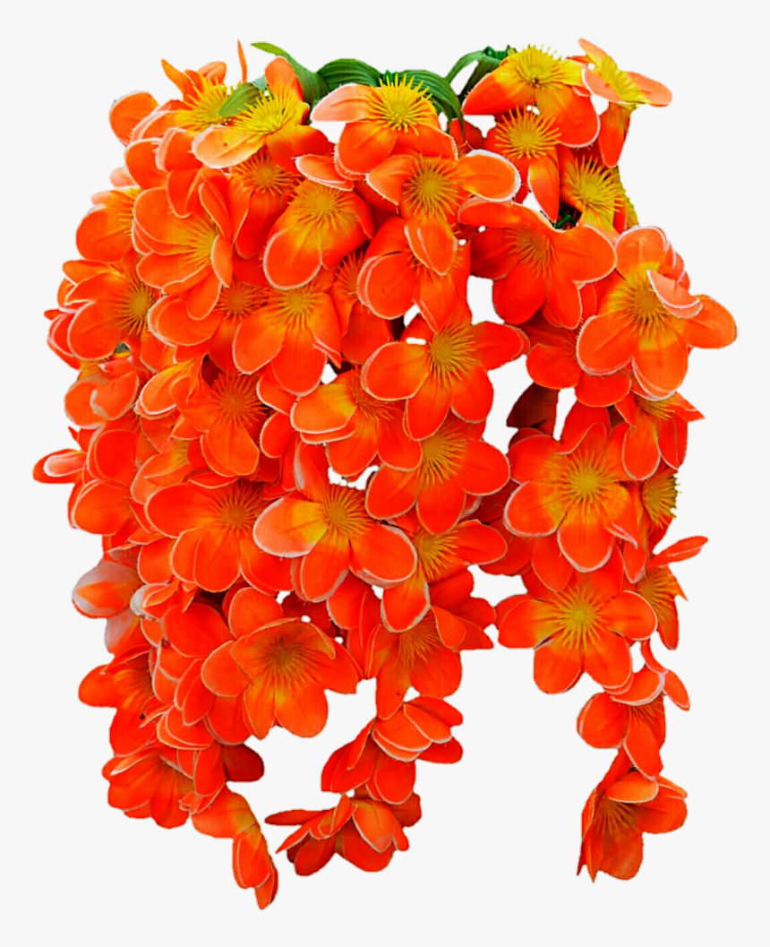 Png Images Of Tropical Flower Vines - Tropical Flowers Png Transparent, Png Download