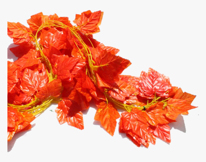 Su Shi Rattan Wall Hanging Fake Flower Vine Decorative - Raksha Bandhan, HD Png Download