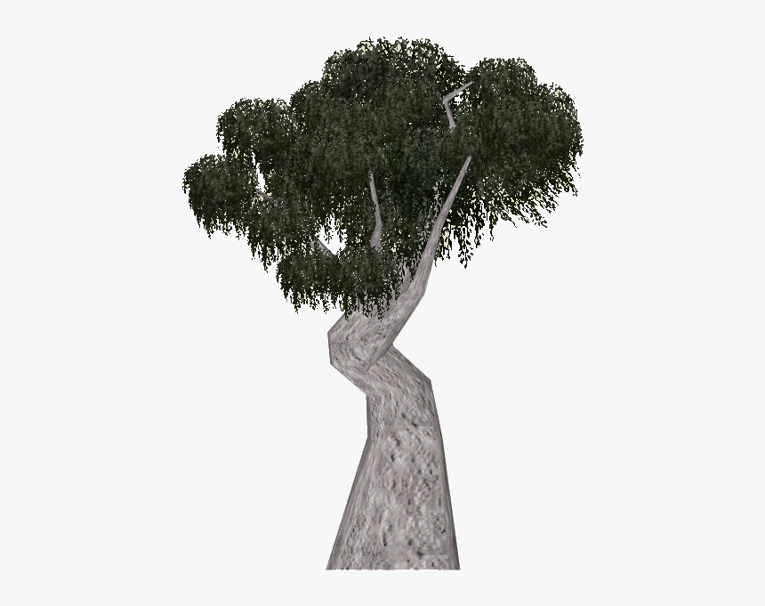 Snow Gum Tree Png, Transparent Png