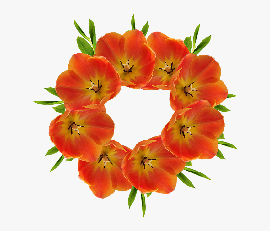 Crown, Flowers, Crown Flower, Leaves - Flower Crown Png Hd, Transparent Png