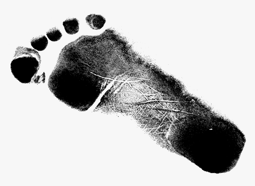 Foot Print Size 7, HD Png Download