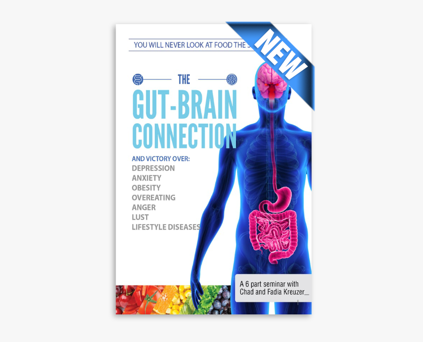 New Banner, HD Png Download