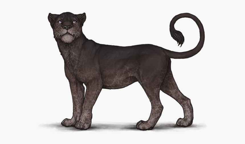 Chatoyant Carvings Lioden, HD Png Download