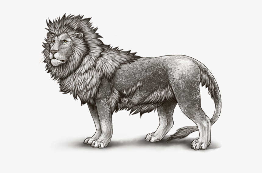 Leopon, HD Png Download