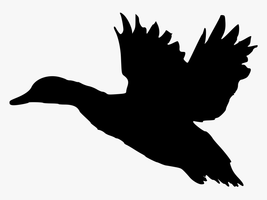 Landing Silhouette At Getdrawings - Black And White Flying Duck, HD Png Download
