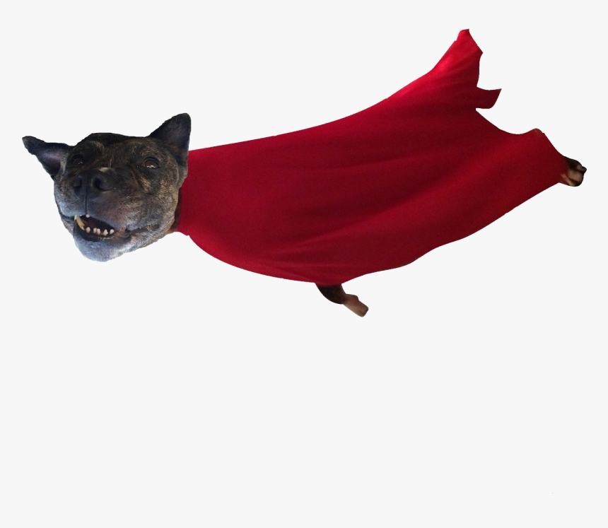 Superhero, HD Png Download