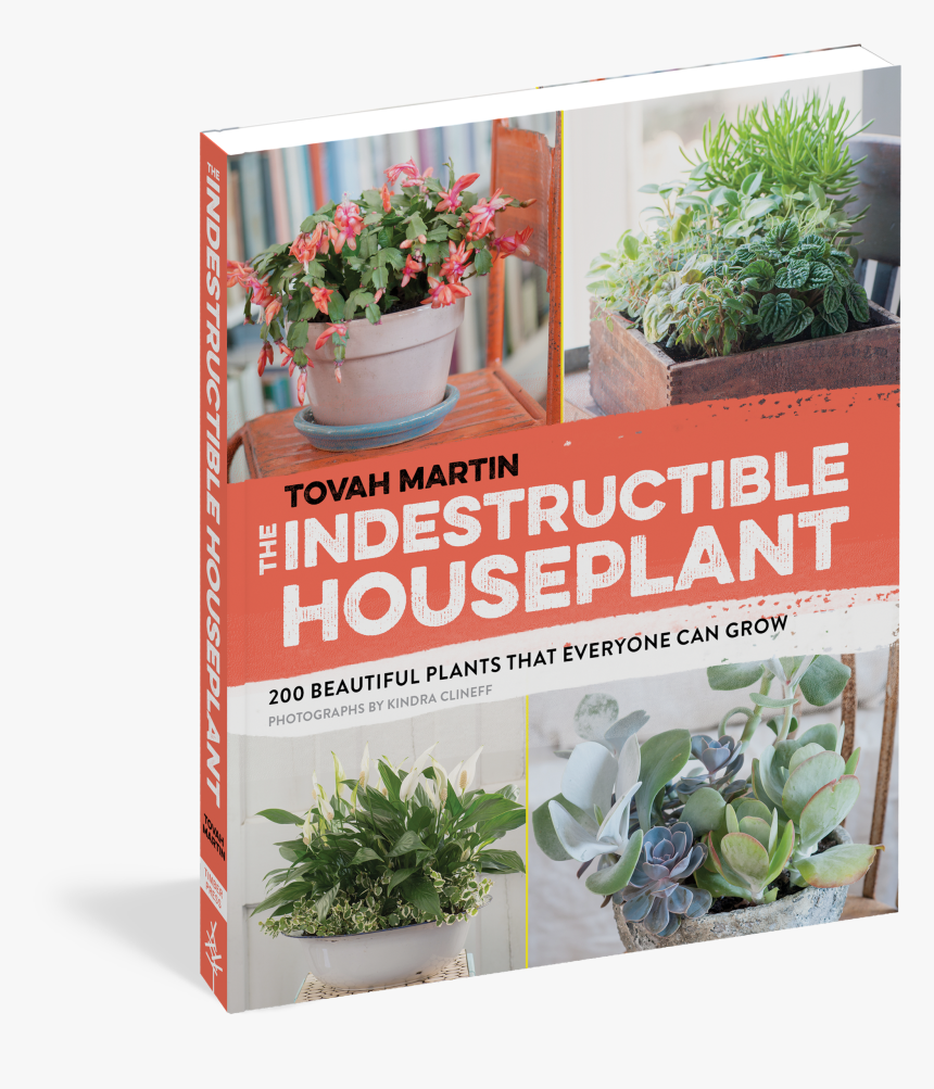 Cover - Plant Ugly Indestructible, HD Png Download