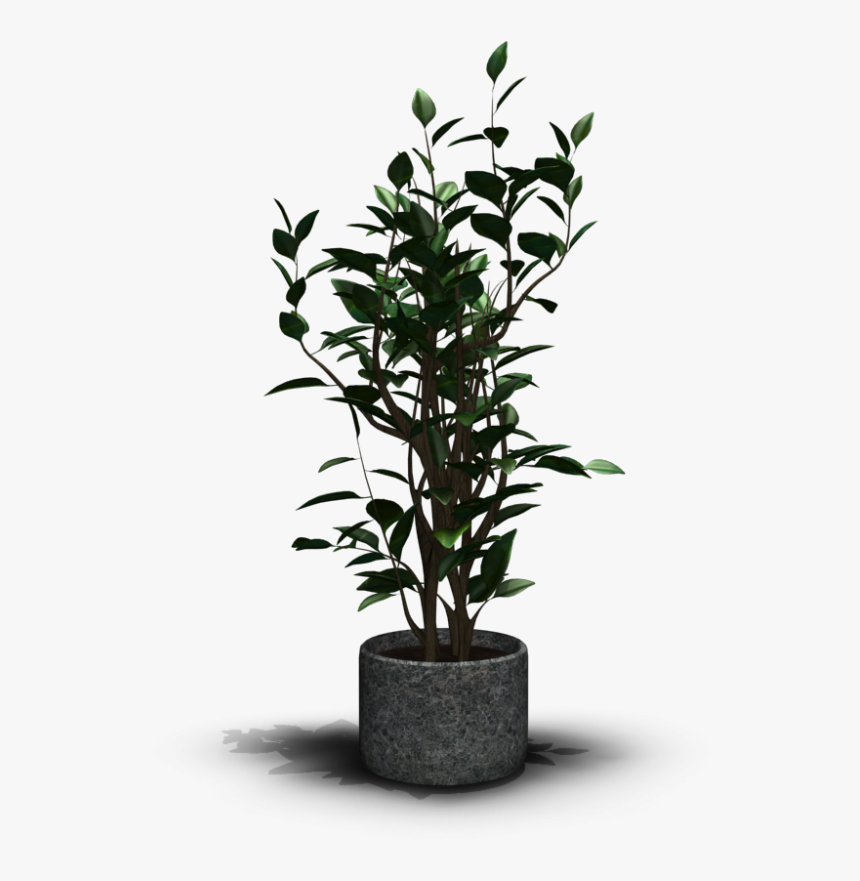 House Plant Demo Font, HD Png Download