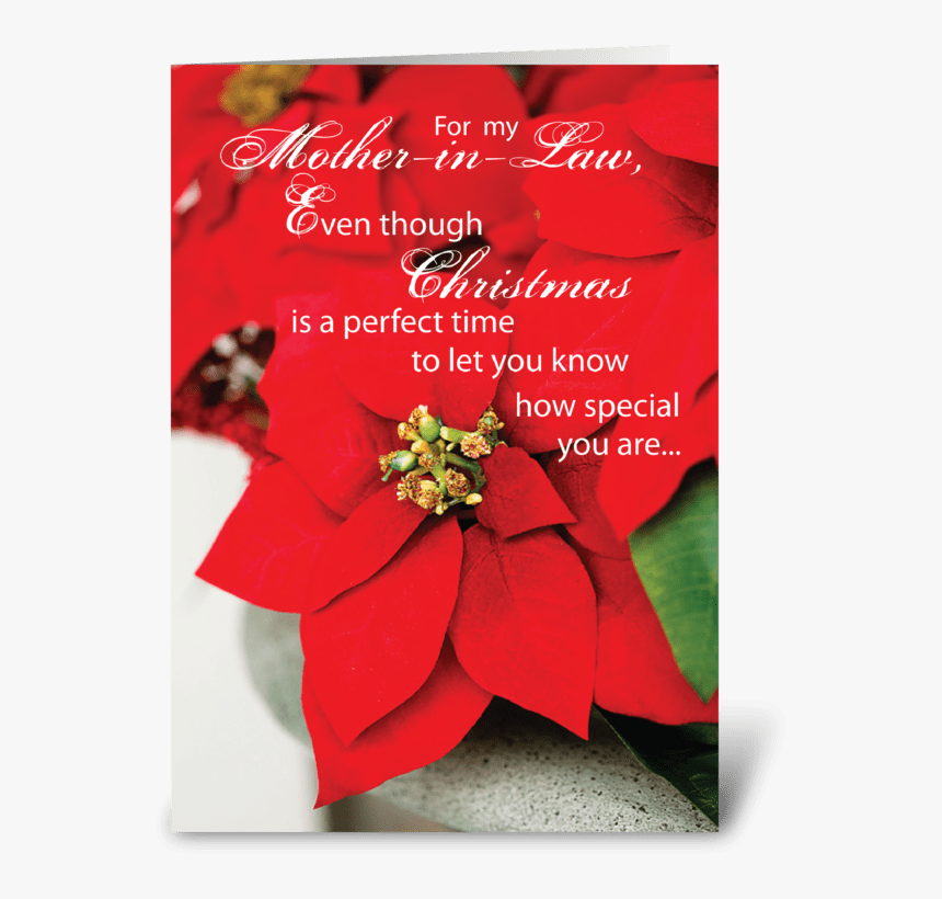 Mother In Law Christmas Poinsettia Greeting Card - Greeting Cards For Parents, HD Png Download