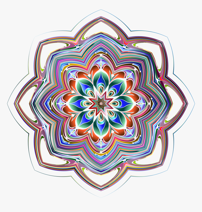 Flower,symmetry,area - Symmetry, HD Png Download
