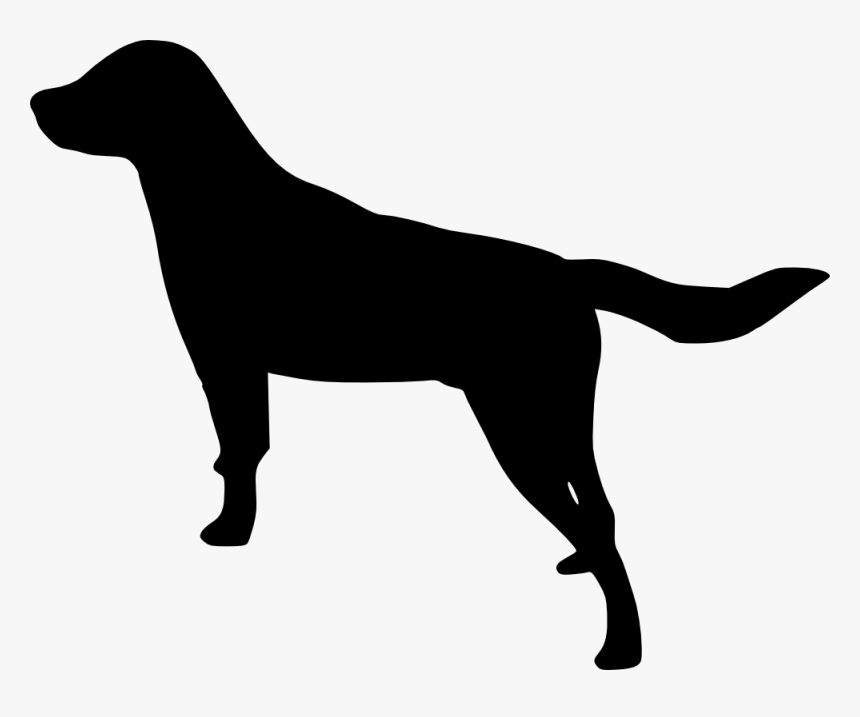 Labrador Silhouette Transparent, HD Png Download