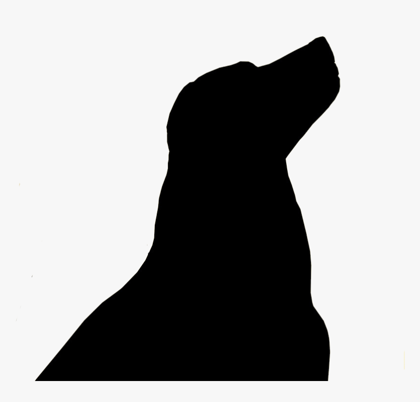 Transparent Sealion Clipart - Silhouette, HD Png Download