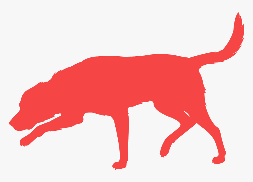 Sticker, HD Png Download