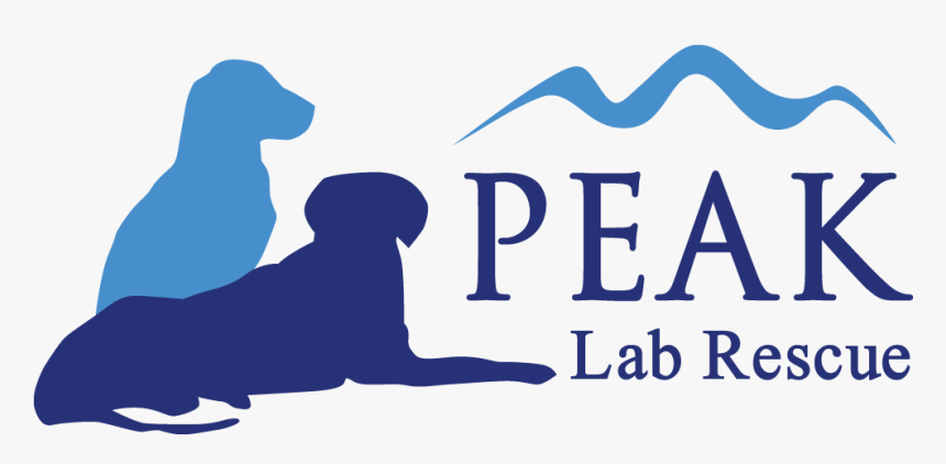 Dog Catches Something, HD Png Download