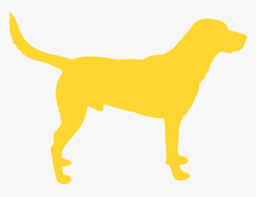 Black Labs Matter, HD Png Download