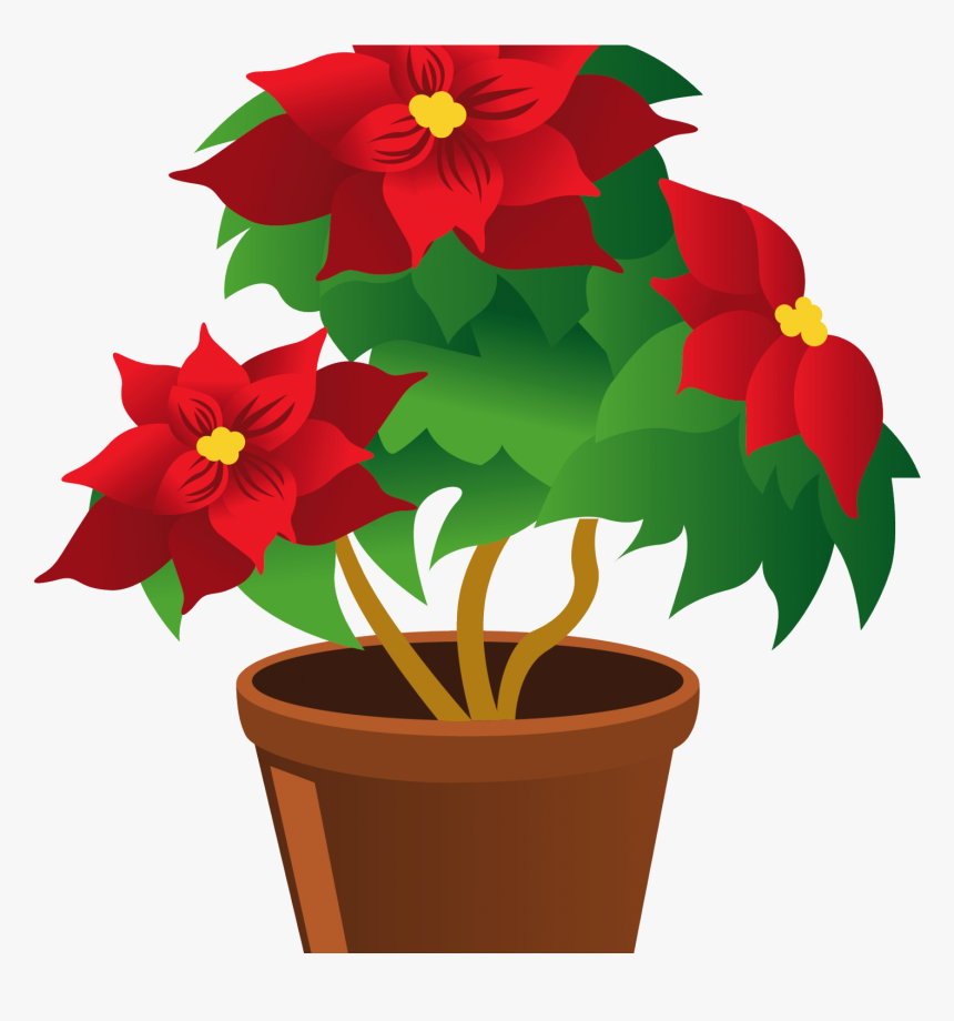 Transparent Poinsetta Png, Png Download