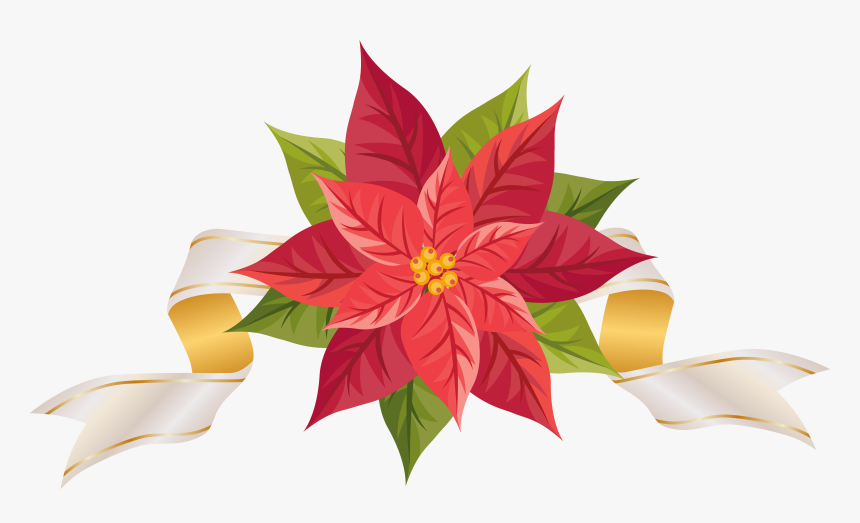 Poinsettia With Ribbon Png Clipart Image - Christmas Poinsettia Border Clip Art Free, Transparent Png