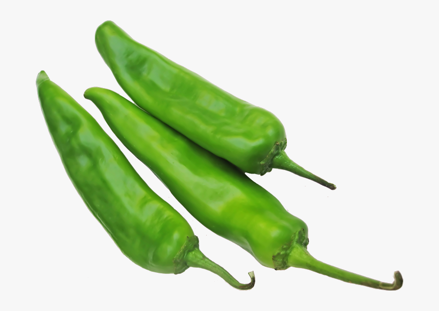 transparent green chili png green chilli hd png png download transparent png image pngitem transparent green chili png green