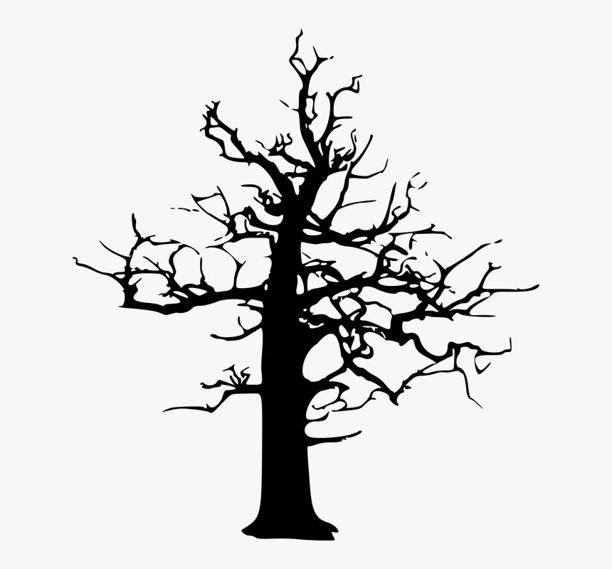 Forest Dieback, Forest Decline, Dead, Tree, Winter - Dead Tree Vector, HD Png Download