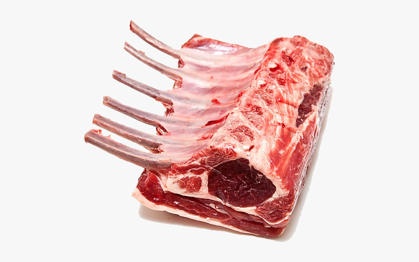 Raw Rack Of Lamb, HD Png Download