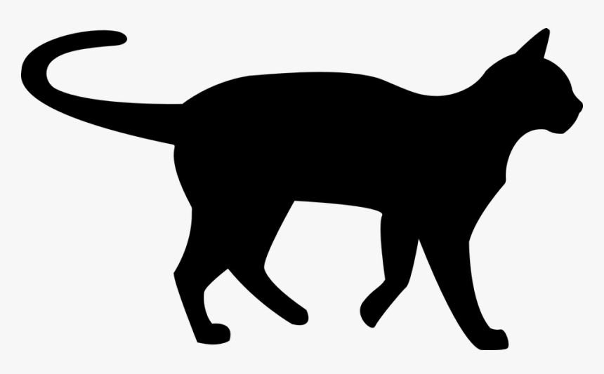 Black Cat Silhouette - Silhouette Cat Transparent Background, HD Png Download