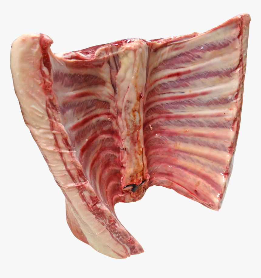 Lamb And Mutton - Ribs Raw Transparent, HD Png Download