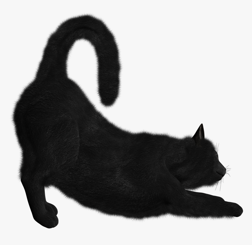 Cat Png - Transparent Background Black Cat, Png Download