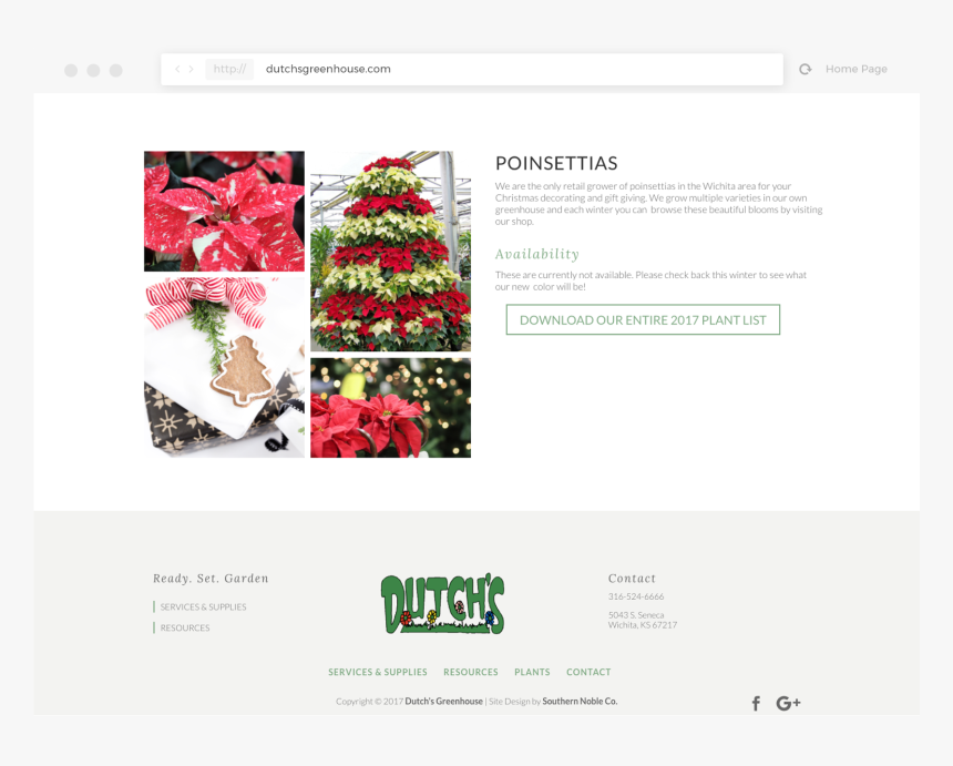 Poinsettia Christmas Tree, HD Png Download