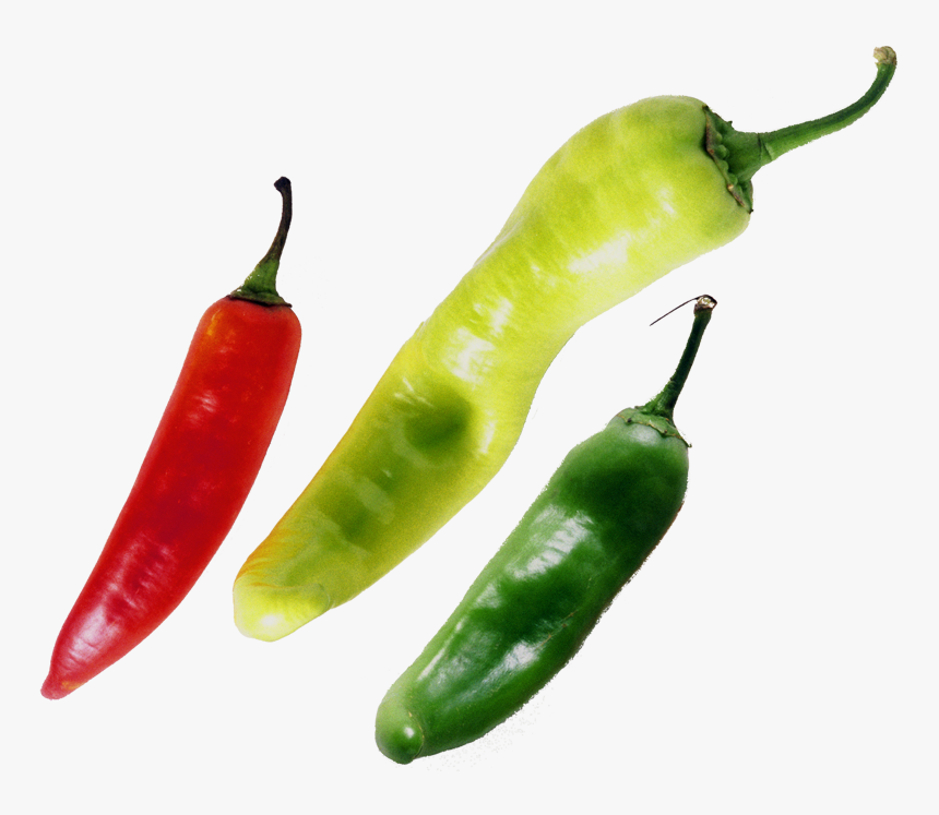 Chilli - Chilli Pepper Red Green Yellow Png, Transparent Png