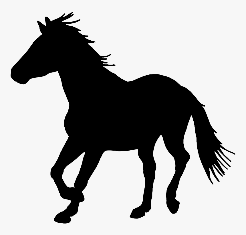 Black Silhouette Of Horse - Png Horse, Transparent Png
