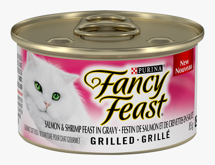 Cat, HD Png Download