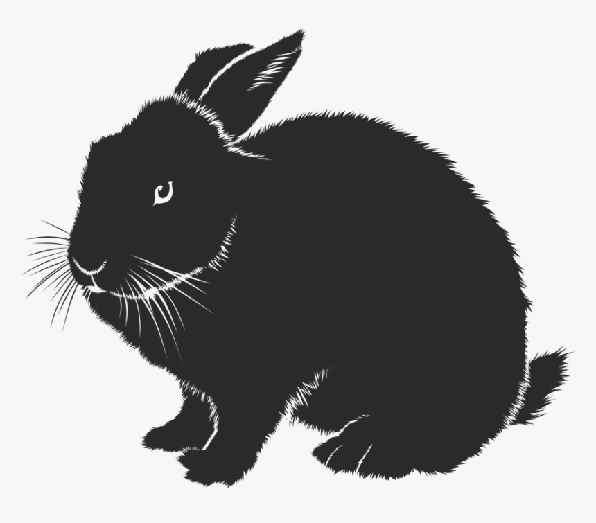 Coelho, Silhueta, Preto, Forma Isolada, Animal, Sombra - Rabbit Eye Silhouette, HD Png Download