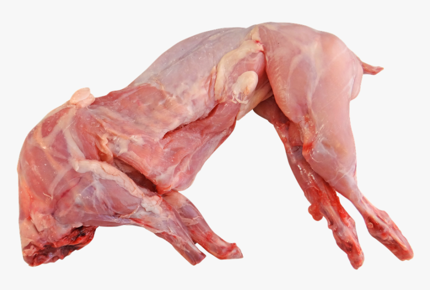 Raw Rabbit, HD Png Download