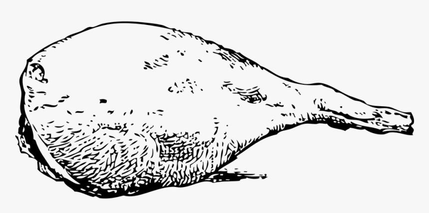 Lamb, Mutton, Leg, Meat - Leg Of Lamb Outline, HD Png Download