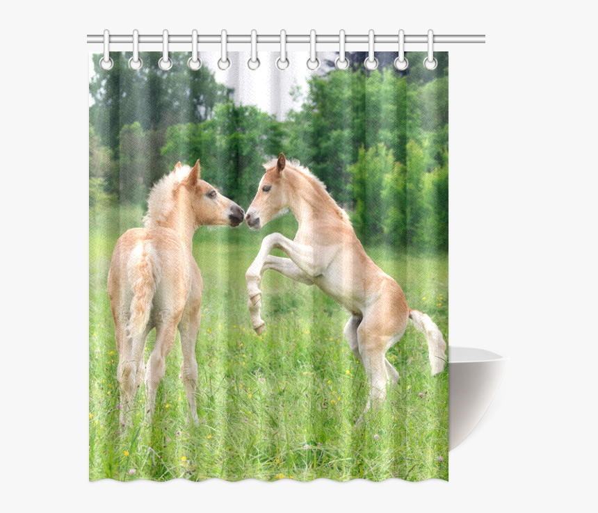 Haflinger Horses Cute Funny Pony Foals Playing Horse - Foal, HD Png Download