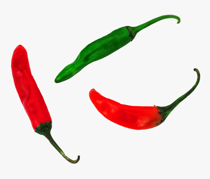 Transparent Pepper Plant Png - Bird's Eye Chili, Png Download