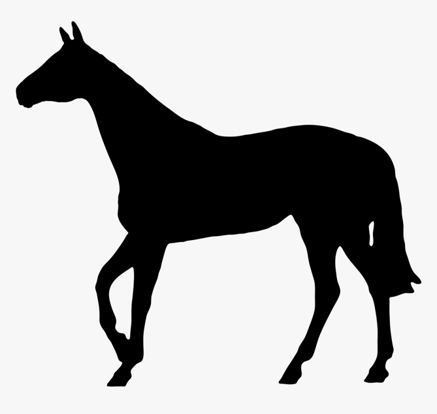 Horse Black Silhouette - Horse Silhouette No Background, HD Png Download