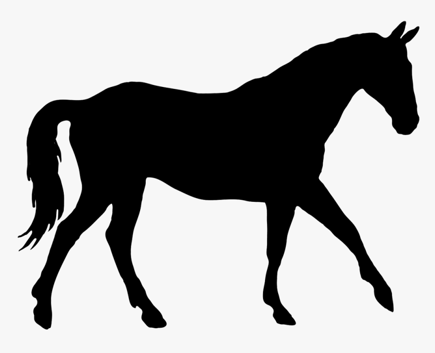 Silhouette Of Elegant Horse - Trotting Horse Silhouette, HD Png Download