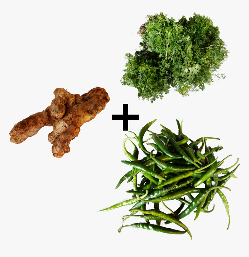 Coriander Leaves Green Chili Ginger Combo Fsale Order - Leaf Vegetable, HD Png Download