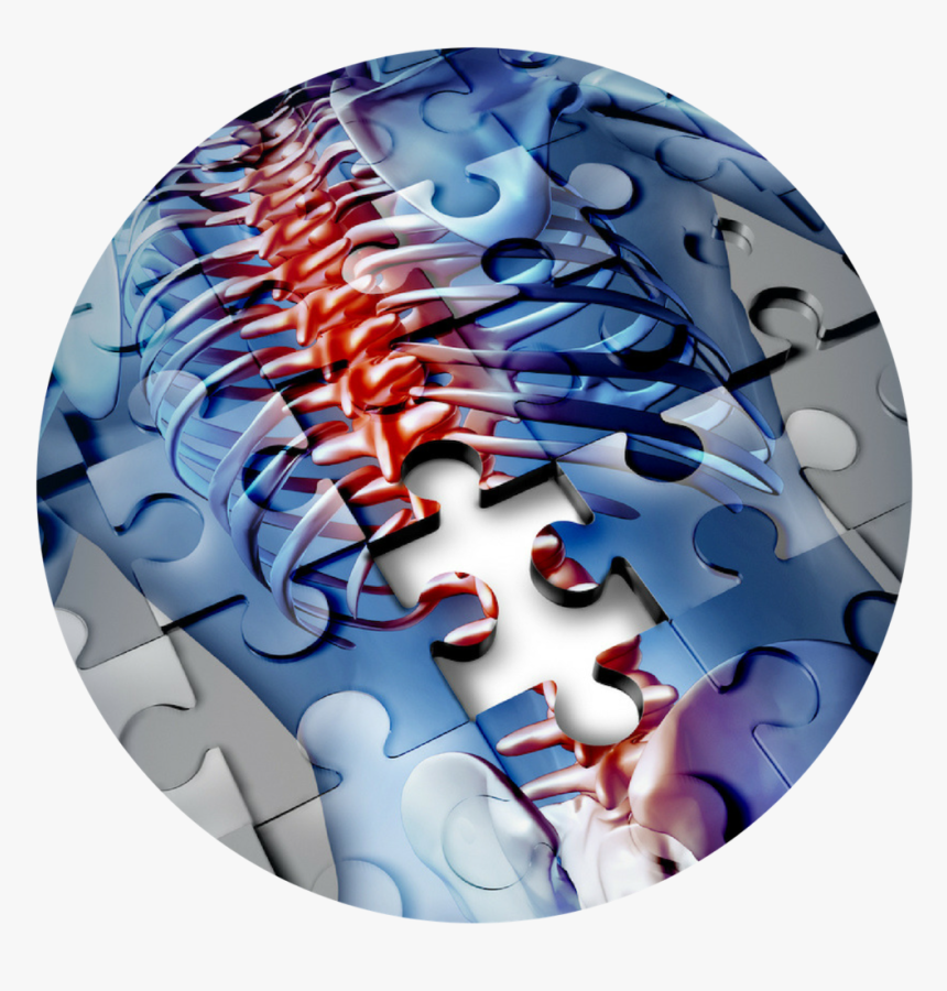 Sports Chiropractic Utah Low Back Pain - Rheumatology Design, HD Png Download